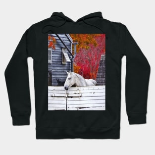 Horses - Autumn Farm With White Horse Hoodie